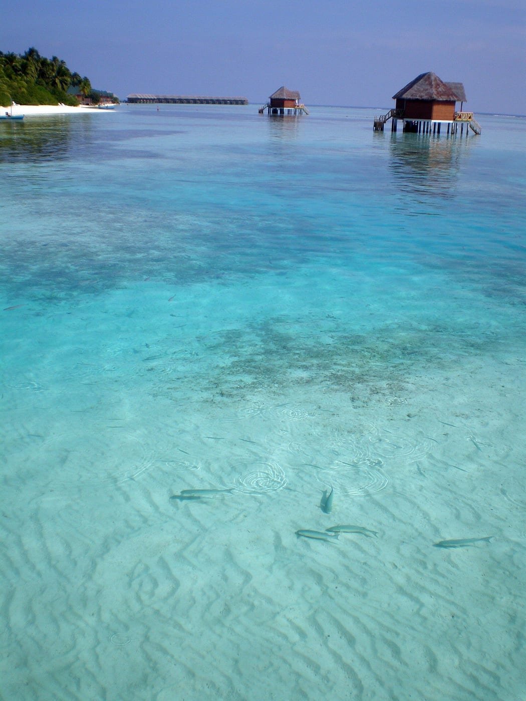 Maldives and Indian Ocean